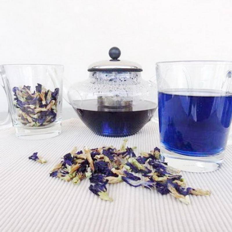 Пурпурный чай «чанг шу»: описание, стоит ли пить, польза и вред