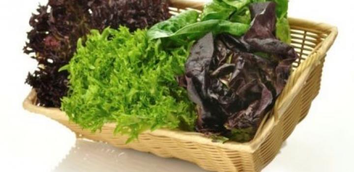 Листья салата при грудном вскармливании: полезные свойства, рецепты