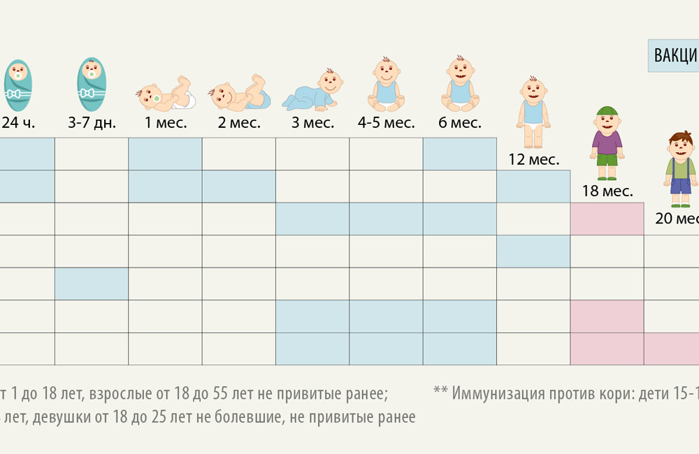 Прививки с рождения до года по месяцам таблица