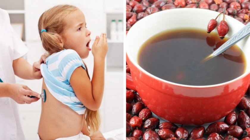 Как заварить для ребенка шиповник – рецепты отвара, сиропа, чая