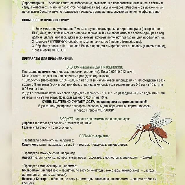 Чем для детских глаз опасны укусы комаров?
