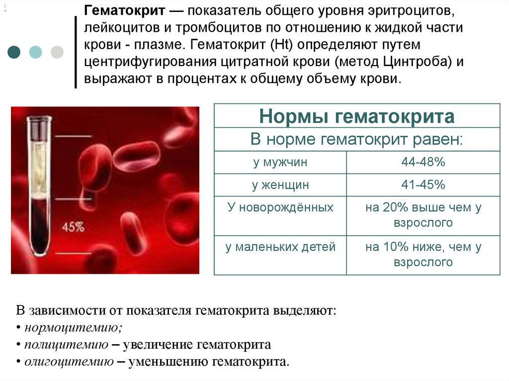 Общий анализ крови (5-diff)