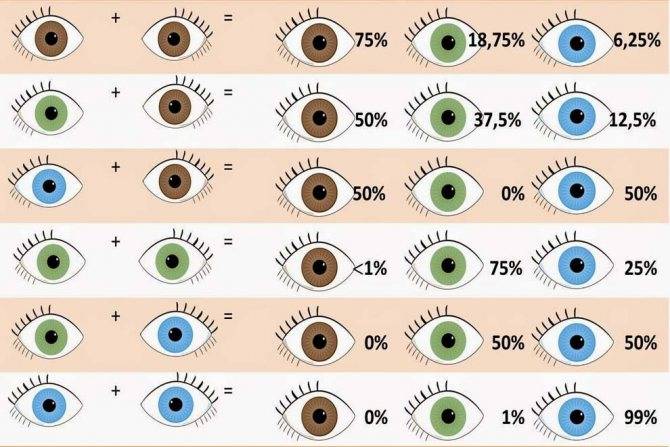 7 секретов изменения цвета глаз у младенца и новорождённого