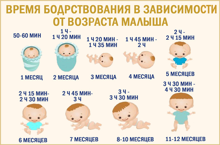 Сон ребенка в 15 месяцев: особенности режима