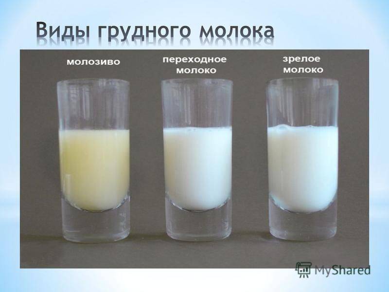 «переднее» и «заднее» молоко