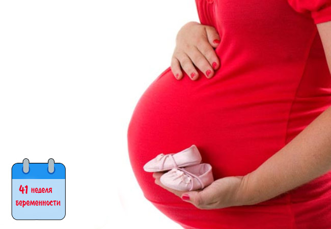 41 неделя беременности — что делать если нет никаких признаков родов и как вызвать роды — беременность