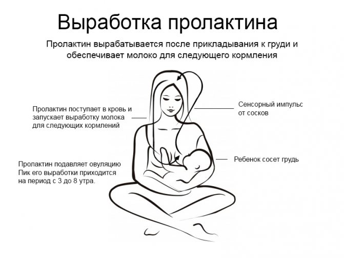 10 гормонов, которые влияют на нашу красоту - клиника марины рябус