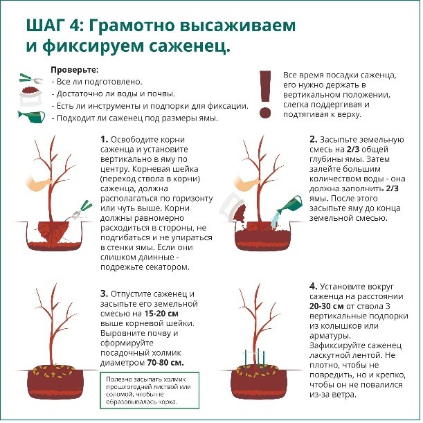 Высаживание новорождённых от коликов. что нас спасло от бессонных ночей. жизнь без подгузников