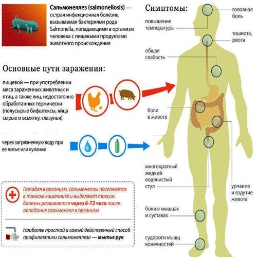 Сальмонеллез клиническая картина