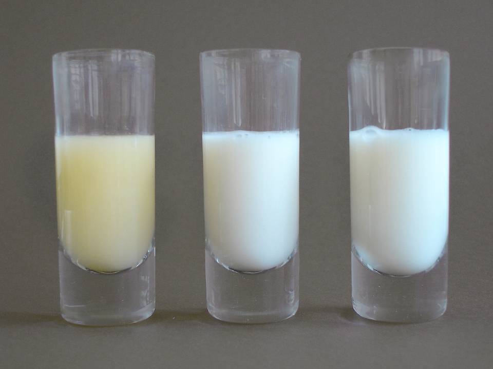 Цвета и оттенки материнского молока во время грудного вскармливания - топотушки