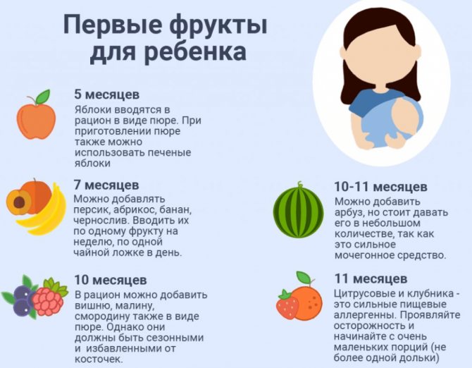 С какого возраста можно давать ребенку грушу: рецепт грушевого пюре для грудничка
