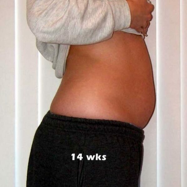 Беременность 14 недель