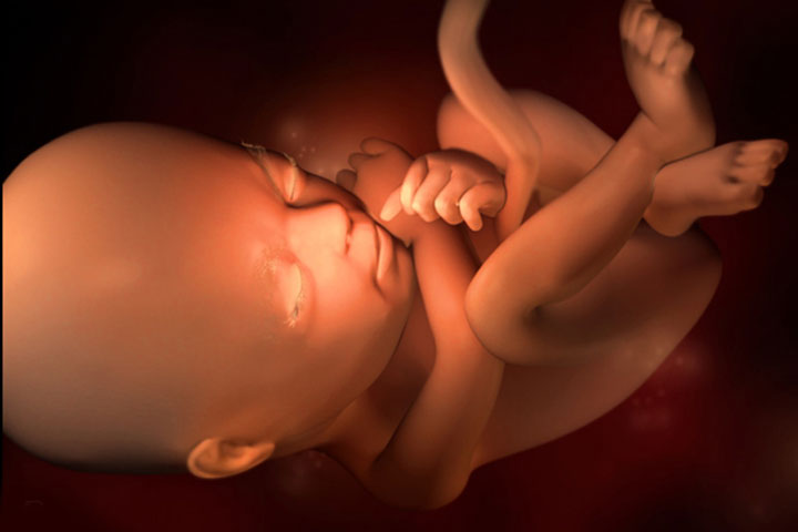 Срок беременности 23 недели — плод, живот, шевеления, боли, узи, выделения