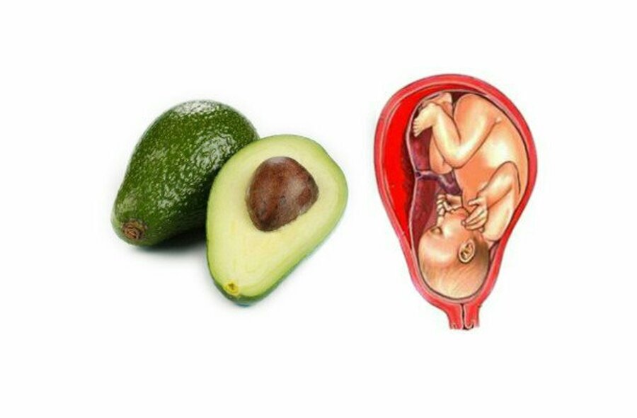 Авокадо при беременности: полезные свойства и противопоказания