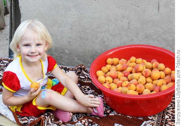 Когда можно давать ребенку абрикос (с какого возраста)?