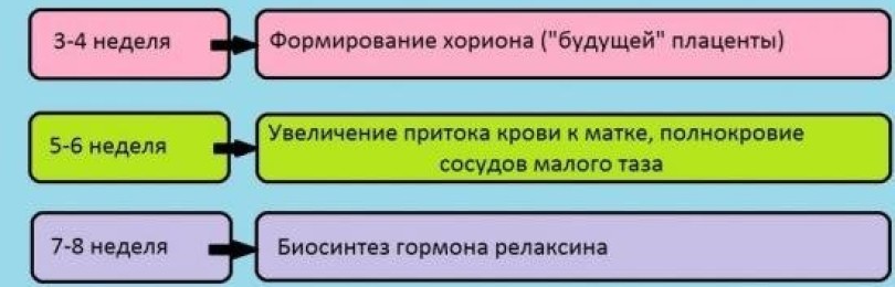 38 неделя беременности болит поясница