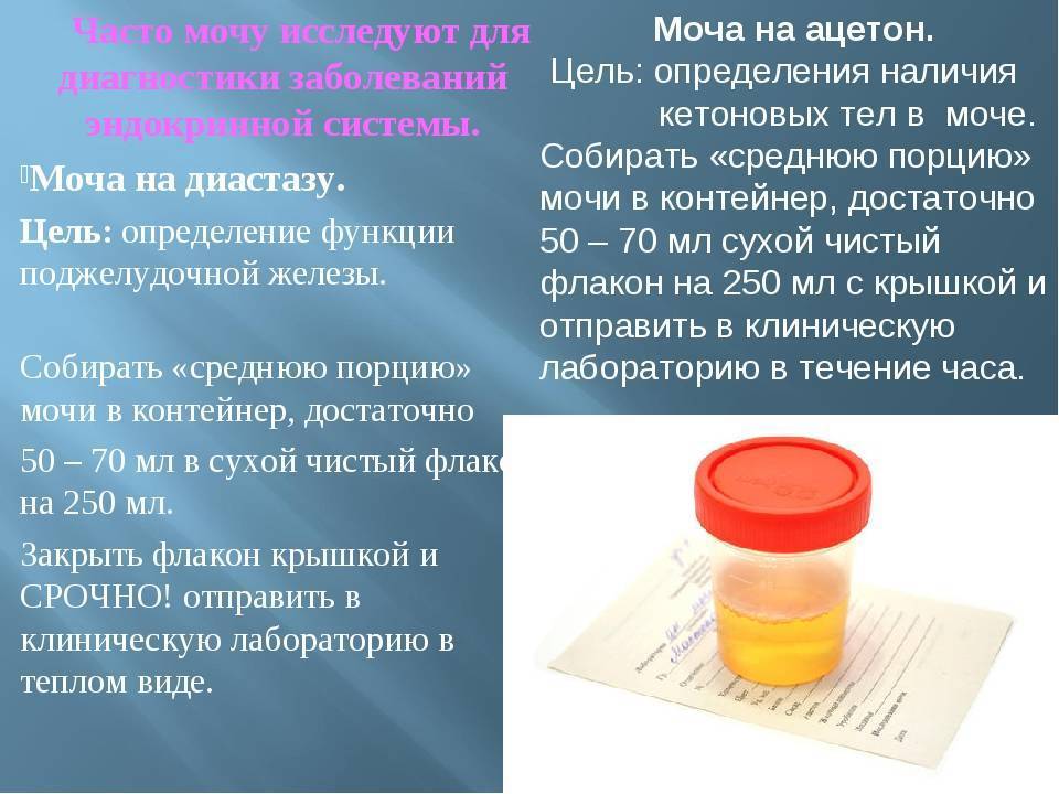 Рентген грудной клетки: что показывает, как проводится. показания к рентгену органов грудной клетки