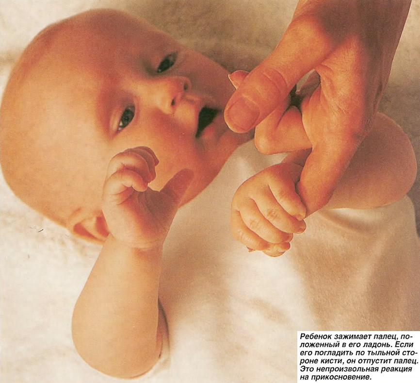 Сосательный рефлекс у детей. Хоботковый рефлекс у новорожденных. Сосательный рефлекс у новорожденных. Рефлекс Робинсона у новорожденных. Верхний хватательный рефлекс (Янишевского).