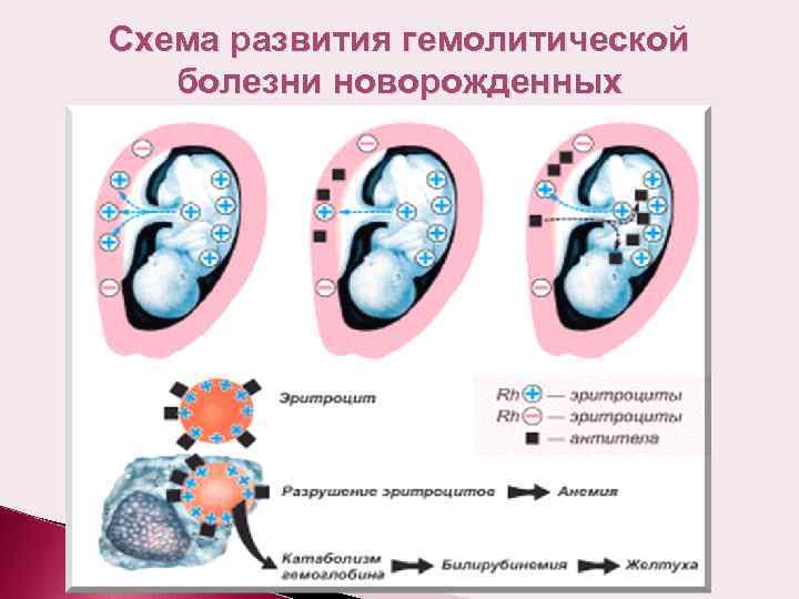 1с закрыть форму при открытии