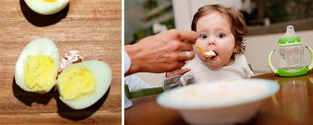Полноценный белок в рационе ребенка – как вводить яйцо в прикорм ребенку