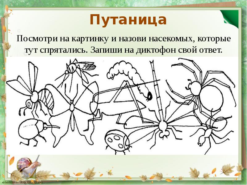 Что делать, если ребенок отказывается от груди после бутылочки