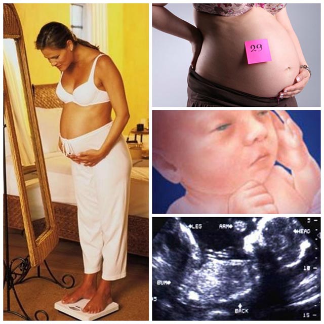Почему замирает беременность? что делать, если в дом пришла беда: комментарии акушера-гинеколога