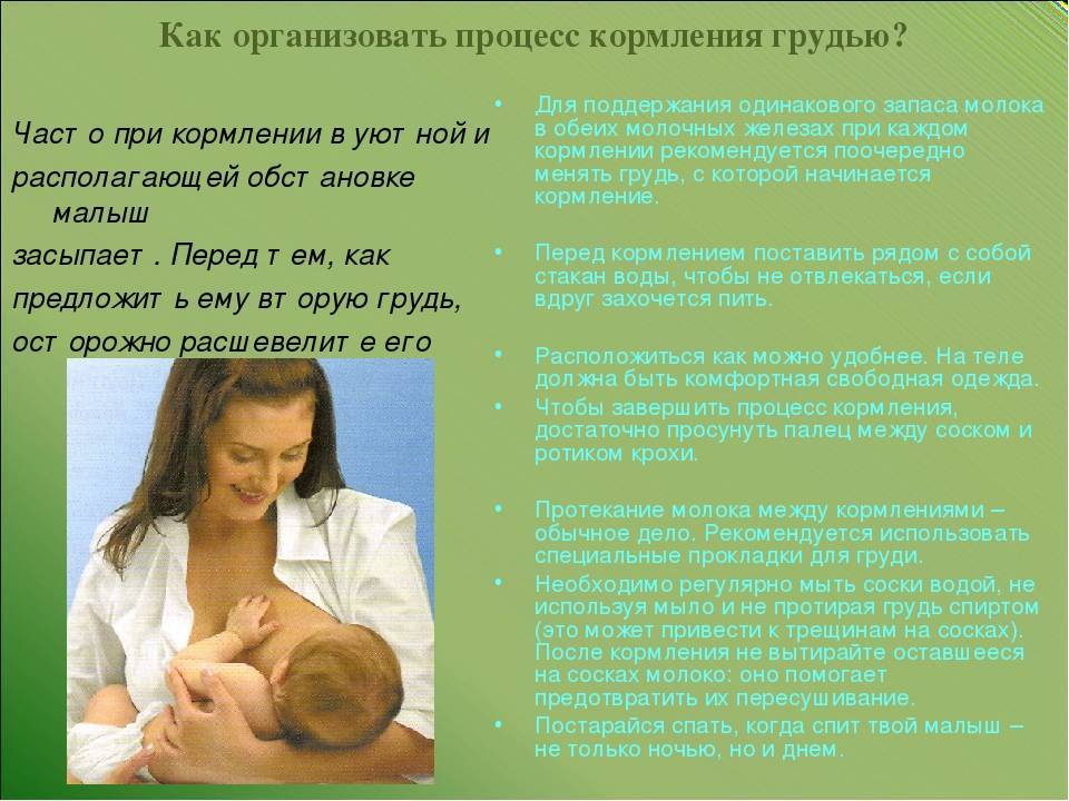 Подготовка груди к кормлению во время беременности - образ жизни во время беременности