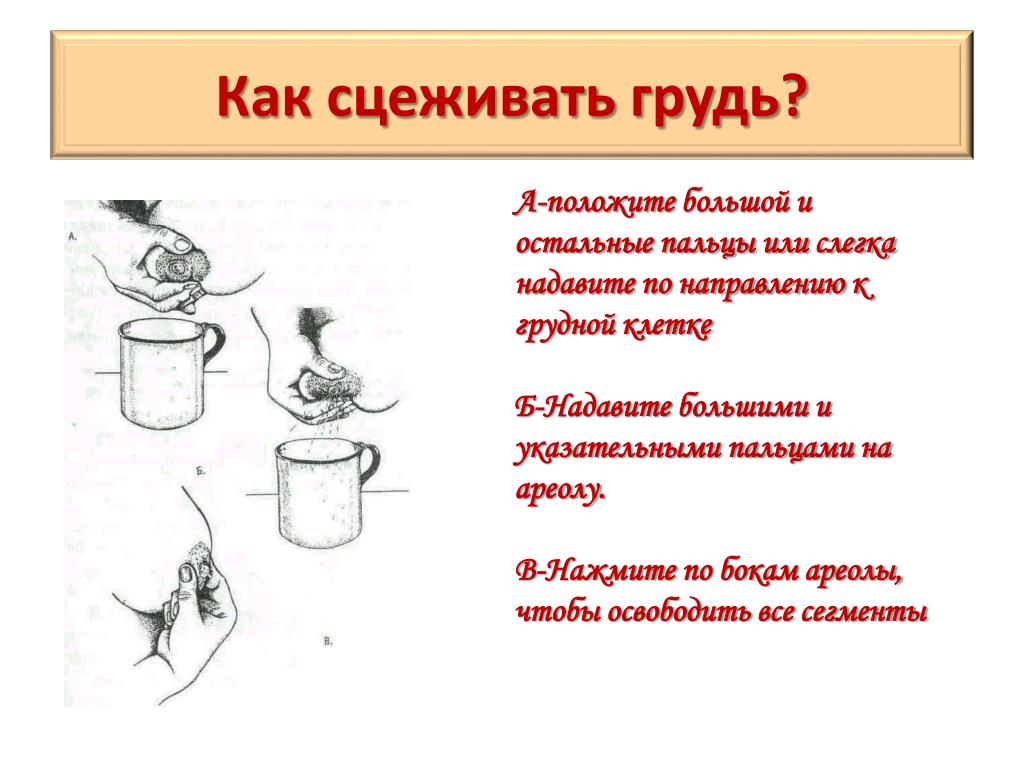 Коррекция формы груди: подтяжка или увеличение груди – что выбрать?