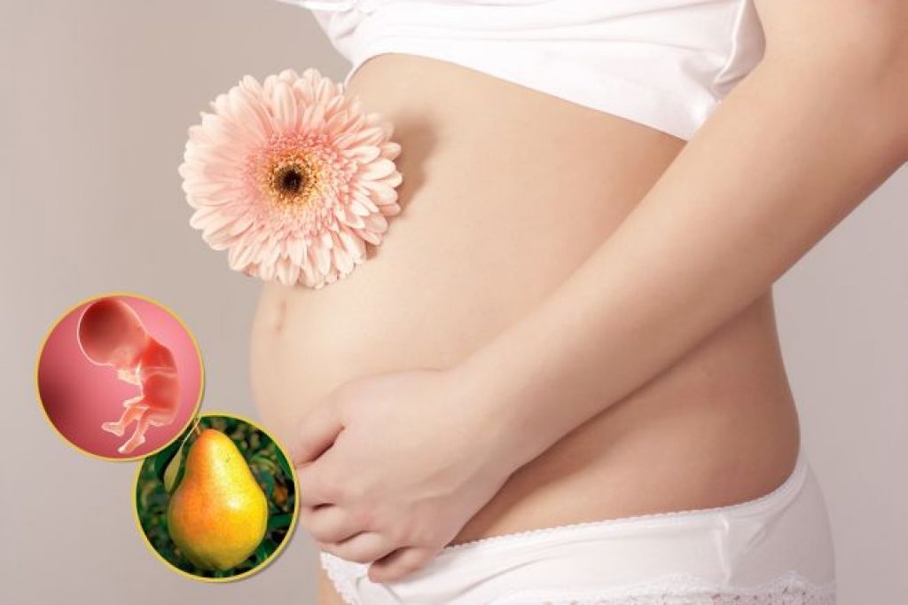 29 неделя беременности: ощущения, развитие плода, преждевременные роды