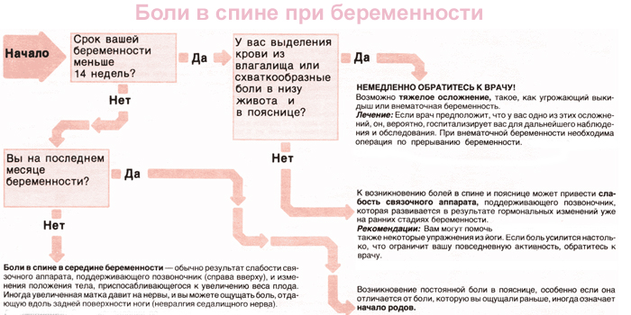 Симптомы болезни - боли в пояснице при беременности