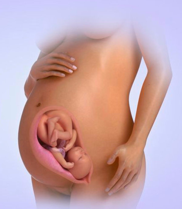 34 неделя беременности - что происходит, вес ребенка