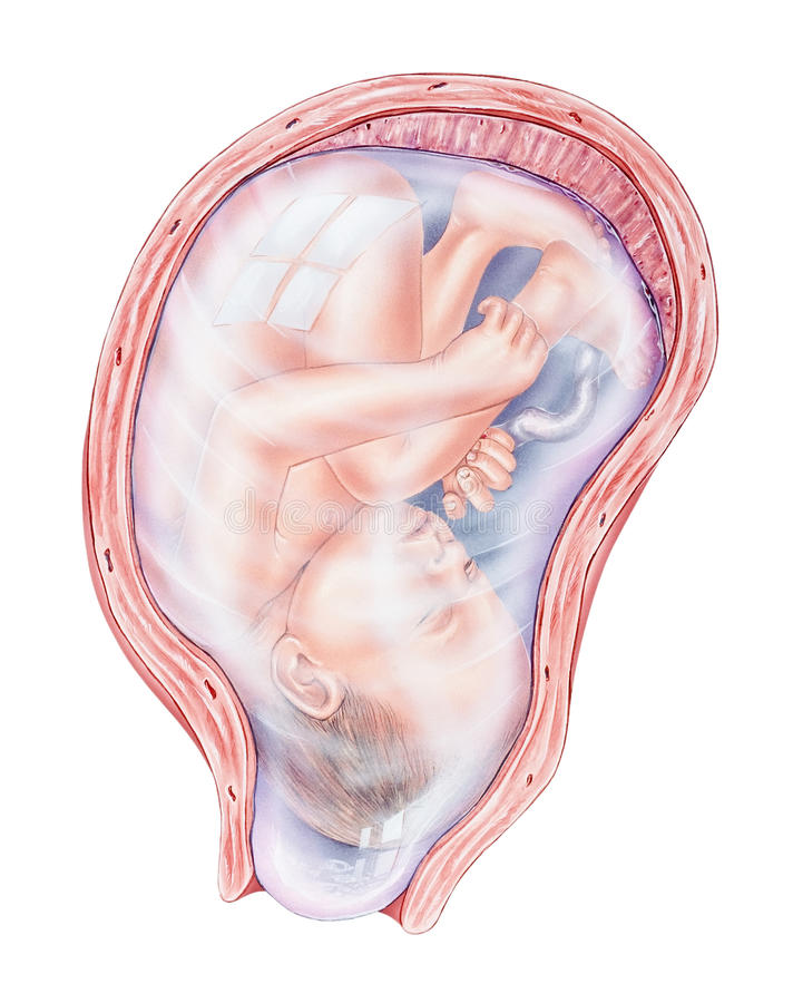 Тонус матки во время беременности: признаки, диагностика, лечение • центр гинекологии в санкт-петербурге