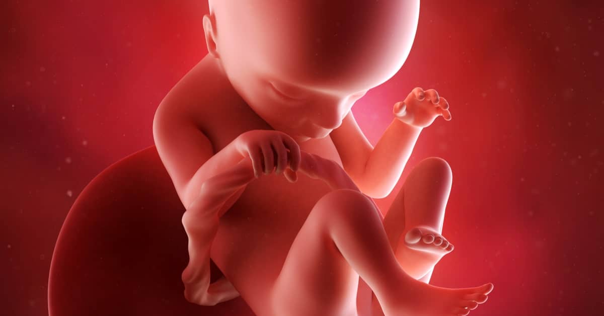 1 неделя беременности: признаки и симптомы, ощущения, что происходит в организме женщины