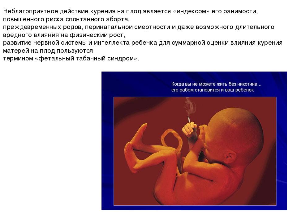 Курение во время беременности. почему это может быть опасно курение при беременности?