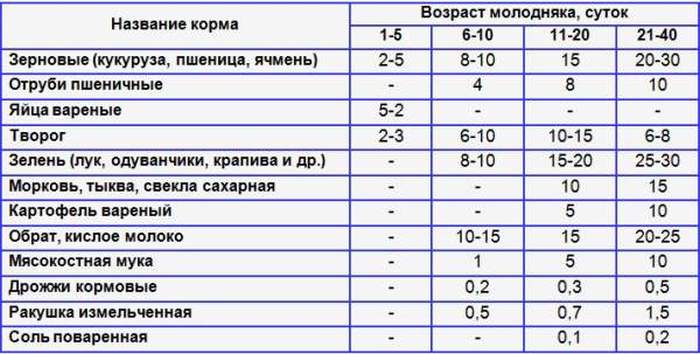 Индейка для детей: рецепты, сколько варить филе