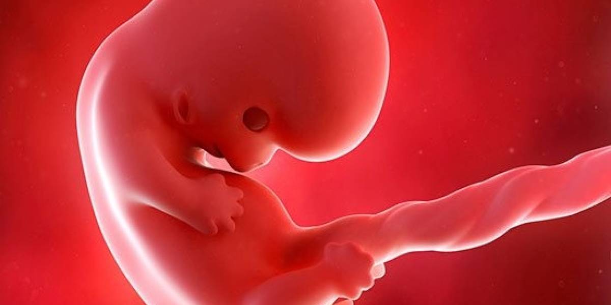 9 неделя беременности: признаки и ощущения женщины, симптомы, развитие плода