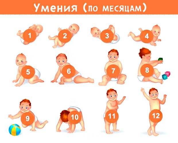 Что умеет ребенок в 5 месяцев: особенности развития, игры и упражнения