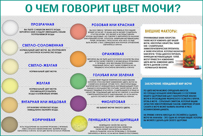 Каким цветом моча при беременности на ранних сроках фото