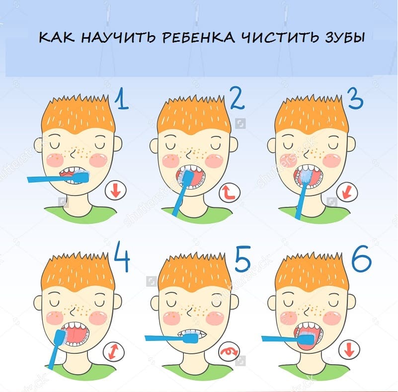 Как научить ребенка чистить зубы самостоятельно