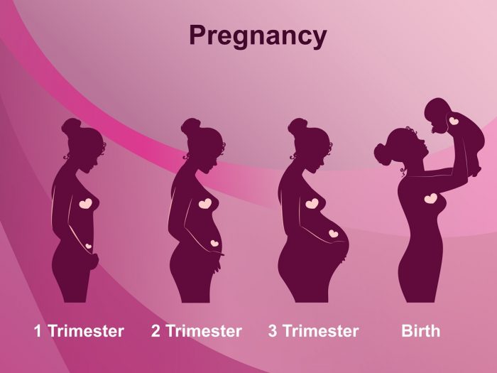 Третья беременность: особенности планирования, течения и родов, отличия от первой и второй, факторы риска, отзывы