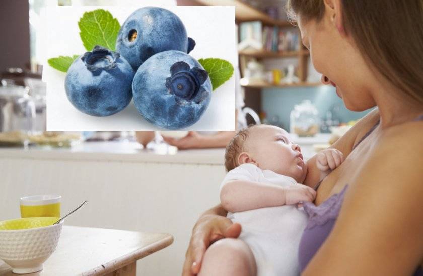 Какую пользу может принести употребление малины мамой при грудном вскармливании