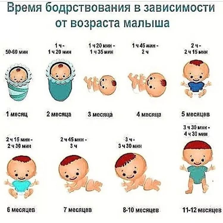 Что видят новорожденные дети по месяцам, когда начинает видеть ребенок