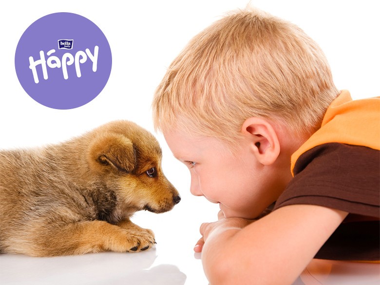 Ребенок и домашние животные - полезные советы - agulife.ru