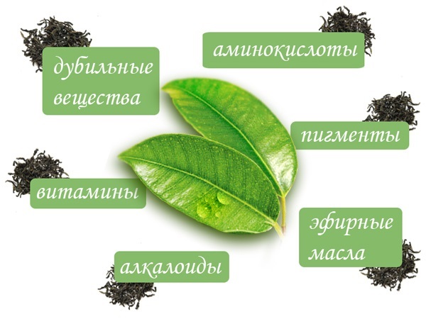 С какого возраста можно давать ребенку чай: состав чая, как выбрать, черный или зеленый