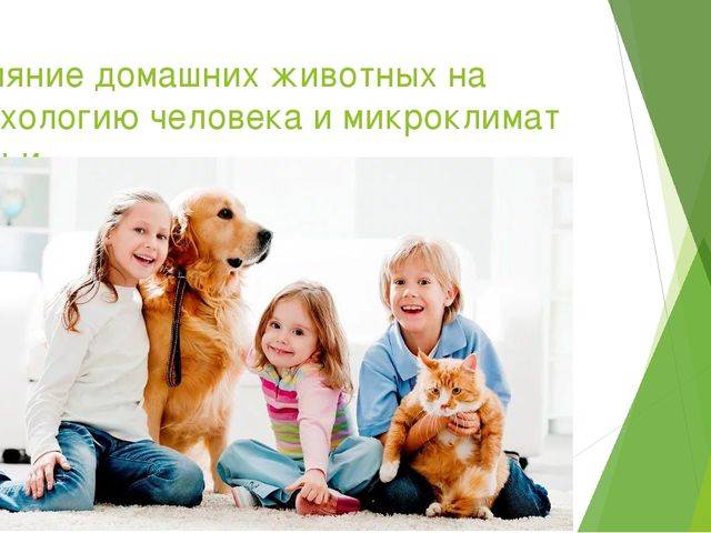 Ребенок и домашние животные - полезные советы - agulife.ru