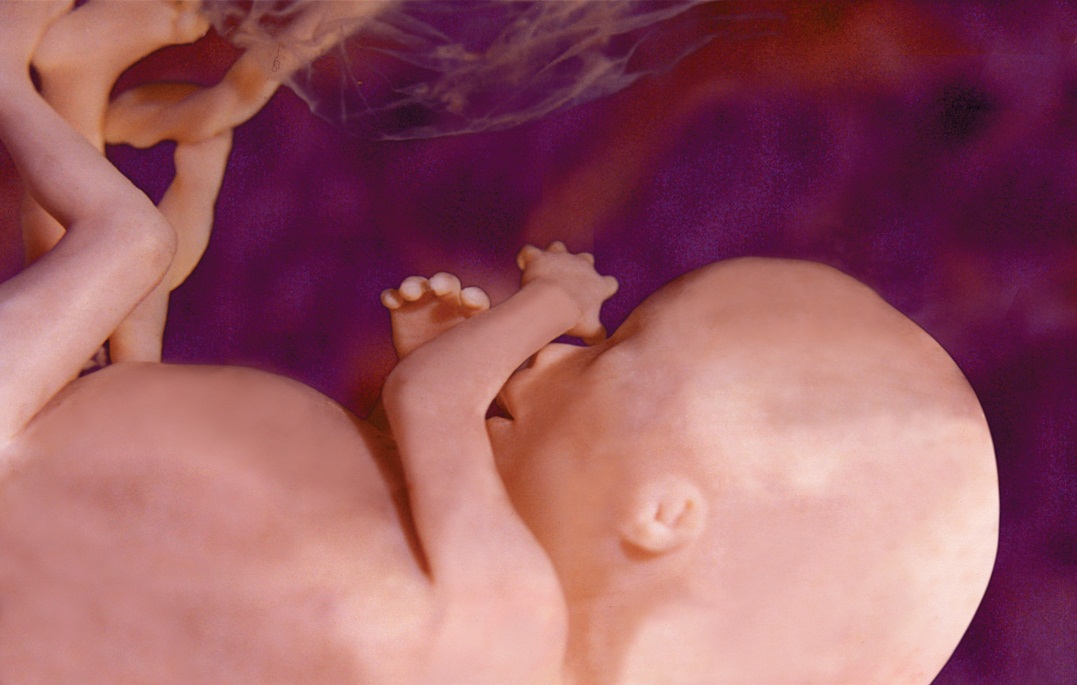 29 неделя беременности – как влияют на будущую маму гормоны малыша?