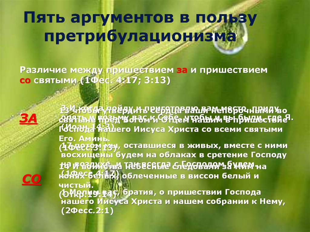 5 аргументов. Пять аргументов. Пять аргументов в пользу создания семьи. Польза супов пять аргументов. 5 Аргументов в пользу интернета.