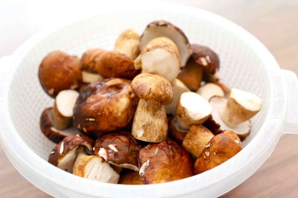 Можно ли при грудном вскармливании грибы: вред или польза?