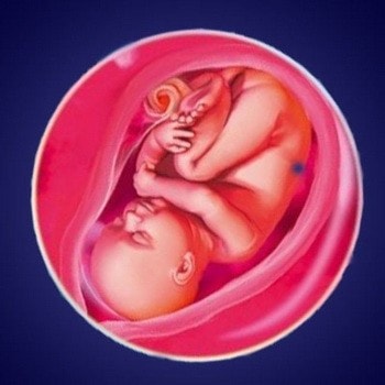 Роды в 36 недель беременности: особенности и мнение врачей, последствия для ребенка на этом сроке