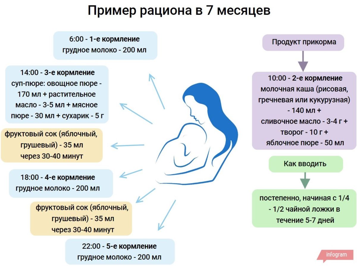 Чем можно кормить в 7 месяцев. Рацион питания ребёнка в 7 месяцев. 7 Месяцев ребенку питание на гв. Кормление ребёнка в 7 месяцев на искусственном вскармливании. Питание малыша в 7 месяцев на грудном вскармливании.